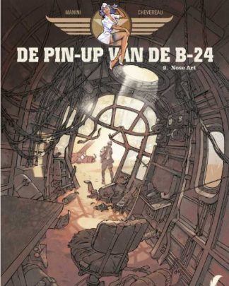 De Pin Up van de B 24 2 Nose art
