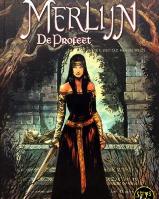 Merlijn - De profeet 5 - Het pad van de wijze