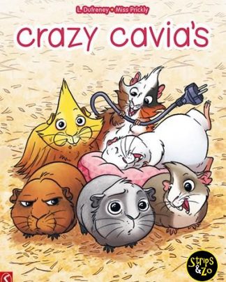 crazy cavias 1