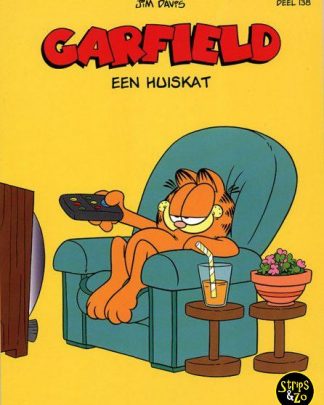 garfield 138 een huiskat scaled