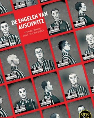 De Engelen van Auschwitz