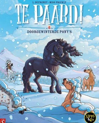 Te Paard 6 Doorgewinterde Ponys