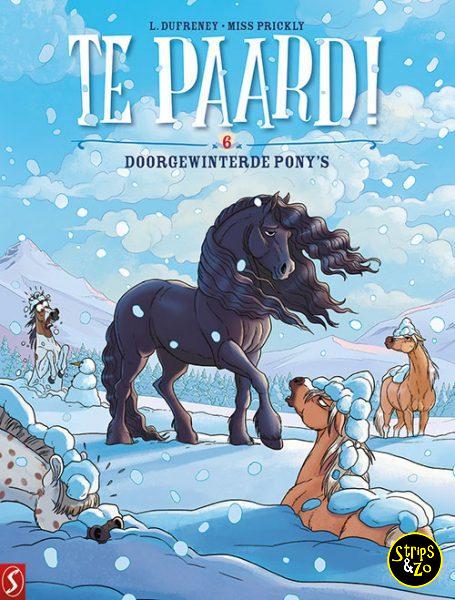 Te Paard 6 Doorgewinterde Ponys