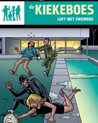 Kiekeboes 163 Loft met zwembad