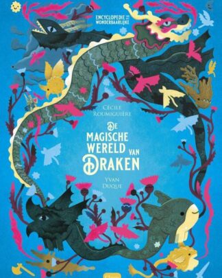 Prentenboek - De magische wereld van draken