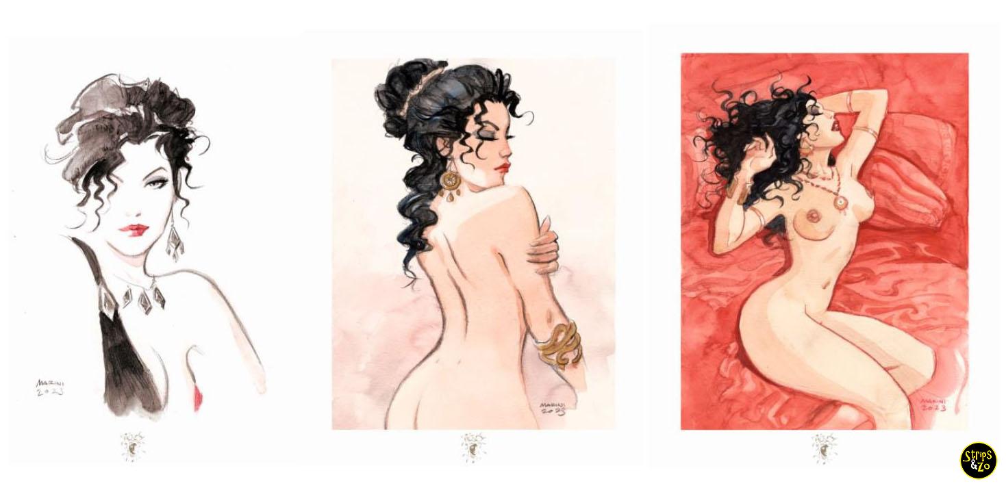 Marini Portfolio Rome - Afbeelding 3