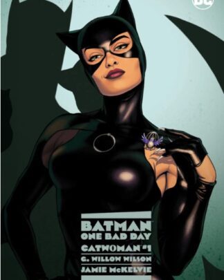 Batman - One bad day 5 - Catwoman