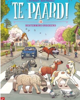 Te paard! 11 - Bestemming onbekend